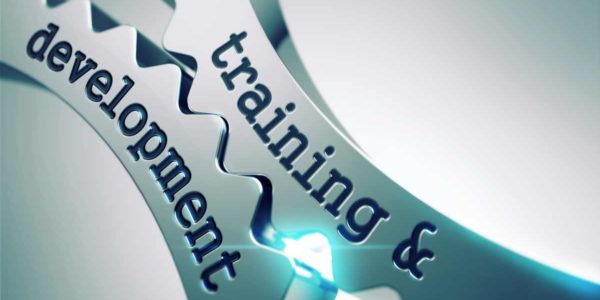 training - development MANAGEMENT, EXECUTE, ENGAGE, TEAM, IMPROVE, PLAN and MEASURE