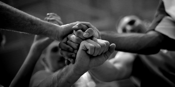 HQ-Vector_Expert Guidance_Interactive Learning